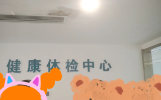 那曲找人代替抽血陇南入职体检服务